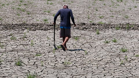 DA: Agri-damage due to El Niño at P3.94-B