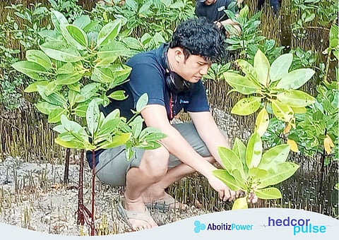 VOLUNTEER plants mangrove in Sitio Bacutan, Davao del Sur.