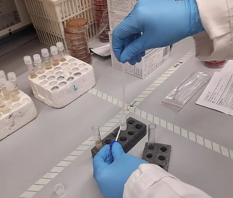 WHO: Global Cholera Vaccine Stockpile is Now Empty