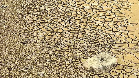 (Photos from Cebu City Councilor Joel Garganera)