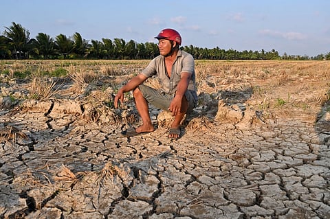 A farmer sits on a dried rice field damaged by drought in Vietnam's southern Ben Tre province on 19 March 2024. Every day, farmer Nguyen Hoai Thuong prays in vain for rain to fall on the cracked dry earth of her garden in Vietnam's Mekong Delta — the country's "rice bowl" agricultural heartland. A blazing month-long heatwave has brought drought, parching the land in Thuong's home of Ben Tre province, 130 kilometers (80 miles) south of business hub Ho Chi Minh City.