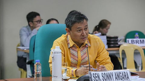 Senator Sonny Angara