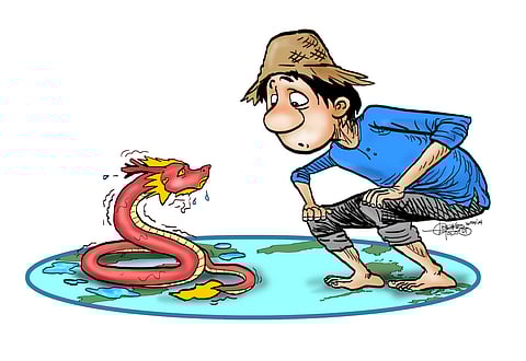 So who’s the real viper?