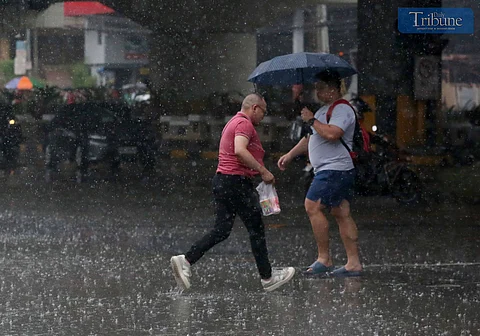 TRIBUNE-Rain-QC