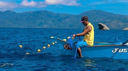 FishCoRe project gets WB backing anew