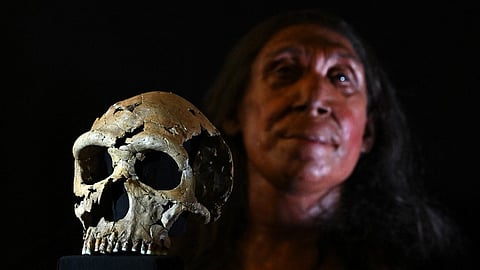Neanderthal woman