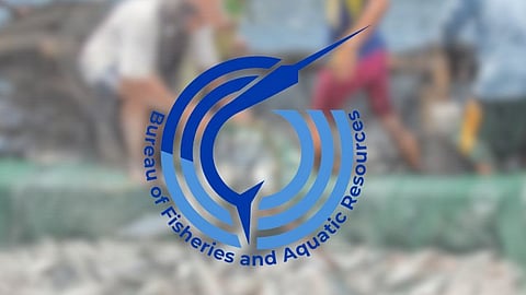 BFAR 2025 budget under scrutiny