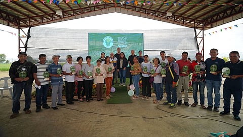 The Department of Agriculture and Nestlé Philippines have recognized 25 farmer groups and associations from Bukidnon (pictured) and Sultan Kudarat for their work and dedication to growing coffee productively and sustainably in an awarding ceremony held in celebration of the National Farmers and Fisherfolk Month at the Bukidnon Integrated Coffee Center.