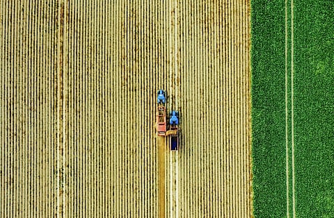 The Jollibee Group launched Joy for Tomorrow to integrate its sustainable business practices into a more cohesive framework that unites the entire organization and guides its engagement with stakeholders and partners.