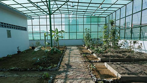 Navotas greenhouse facility