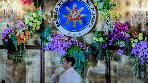 President Ferdinand Marcos Jr.