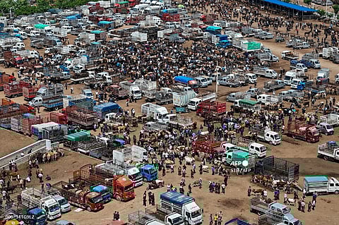 This aerial photo taken on May 22, 2024 shows people visiting a livestock market in Yili, in northwestern China's Xinjiang region.
