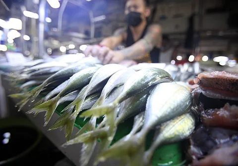 Vendor: Tawilis safe despite Taal Lake fears