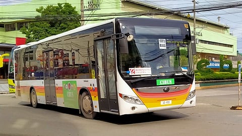 Business firms oppose bus transit link project