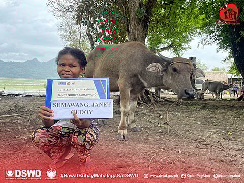 ONE of the beneficiaries of DSWD’s Pag-Abot program bringing home a carabao.