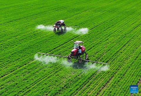 Aerial drone photo shows self-driving machines spraying herbicides in a field at the smart farm at Shuanglou Village, Bozhou City of east China’s Anhui Province. The farm uses technologies like Internet of Things, Big Data and Artificial Intelligence to greatly improve the production efficiency.
