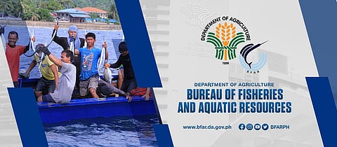 Bureau of Fisheries and Aquatic Resources (BFAR)