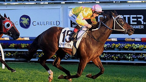 3-horse mayoralty race looms in Orion