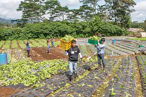 6 Davao PDLs earn college degrees