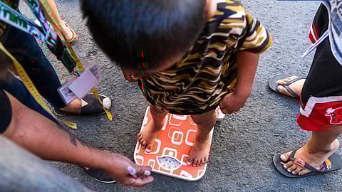 1 in 3 Filipino households experience food insecurity — NNC