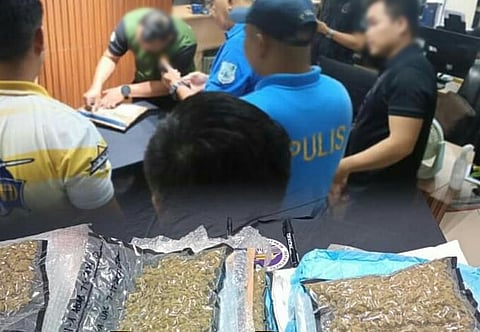 Authorities check on the high-grade marijuana which was intercepted at the Ninoy Aquino International Airport.