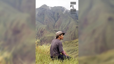 This ultimate frontier land with perfect grazing ranges was a refuge of wilderness where wild beasts strayed, where the last significant population of the critically endangered tamaraw – a local upland variety of the buffalo – held out.