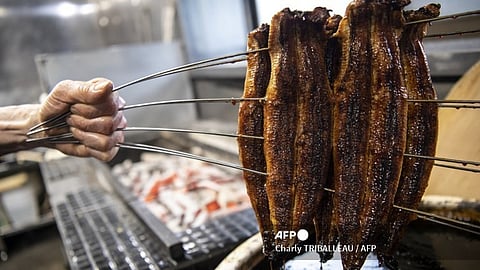 Grilled eel
