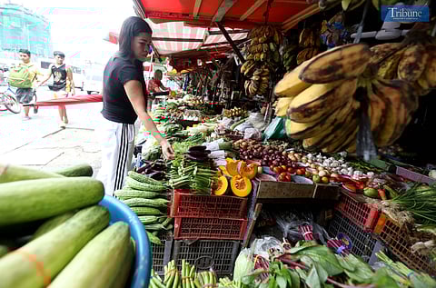 Filipinos want gov't to act on rising food prices — survey