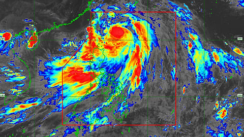 typhoon “Carina”