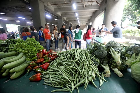 Citizens from vulnerable sectors line up to buy rice for P29 per kilo and cheapest vegetables at the kadiwa store inside the Bureau of Animal Industry and National Irrigation Administration in Quezon City. The Department of Agriculture simultaneously launched on Friday a program that offers rice at only P29 per kilo in selected kadiwa stores in Metro Manila and Bulacan province. It is sold to senior citizens, single parents, people with disabilities and beneficiaries of the 4Ps.