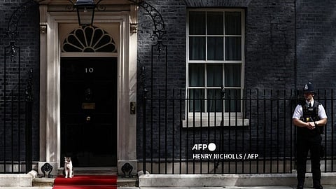 Larry the Downing Street cat sits on the red carpet.
