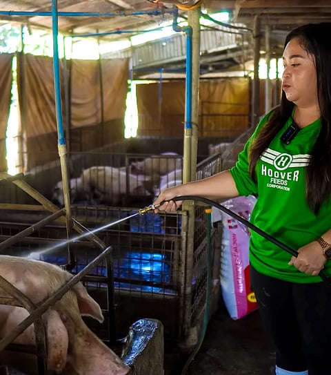 Geleen has been a certified breeder, pre-starter and starter user since 2015 and recommends Hoover Feeds to her peers in business.