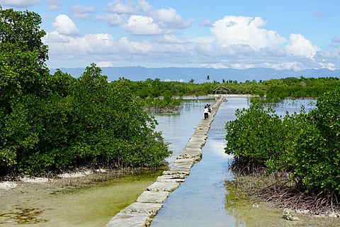 Olango Island Wildlife Sanctuary in Cebu.