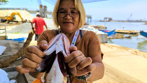A tale of two fish in Bataan