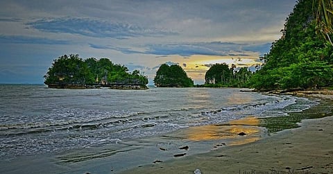 Leyte, Samar red tide positive