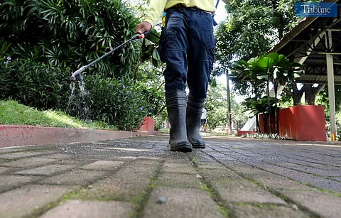LOOK: Workers spray chemical solution to kill moss on the pavement as a preventive measure to avoid slipping, especially for students, at the University of the Philippines campus in Quezon City on 2 August 2024.