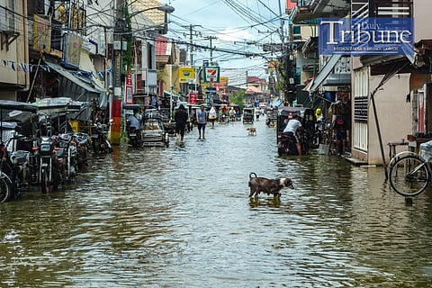 (File Photo) Residents of Masantol, Pampanga have adapted to frequent flooding caused by a combination of altered waterways, fishponds that impede water flow, and land subsidence exacerbated by volcanic lahars from Mount Pinatubo. Modern development in flood-prone areas without adequate flood mitigation has increased the risk, while climate change has disrupted the historical cycles of flood and drought. To address these issues, President Ferdinand Romualdez Marcos Jr. inaugurated the Integrated Disaster Risk Reduction and Climate Change Adaptation Measure in Pampanga Bay, funded by P7.57 billion from South Korea, which aims to improve flood resilience with extensive river network improvements and new infrastructure. Further infrastructure development and disaster risk reduction efforts are planned to enhance flood control in the region.