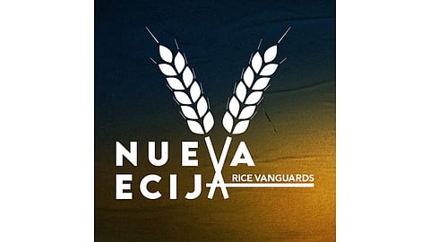 Rice Vanguards freeze Heatwaves