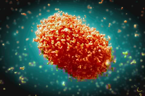 Representative photo of mpox (Photo courtesy of WHO)