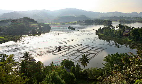 (FILE PHOTO) Fish pens break the glassy surface of the magnificent, tranquil pond.
