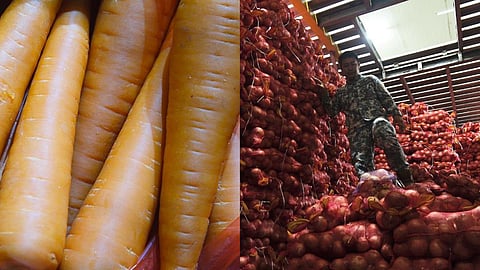 Smuggled vegetables seized