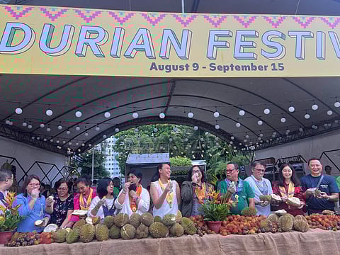 Davao fruit supply abundant for 'Kadayawan'