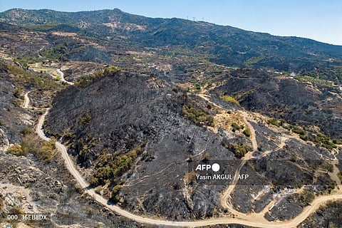 This aerial photograph shows a partially burnt forest area following a wildfire in the Sancakli village, in Turkey's western province of Izmir on August 18, 2024. Fires that have ripped through forests around Turkey's third most-populous city Izmir for the past four days have largely been brought under control, authorities said on 18 August, 2024.