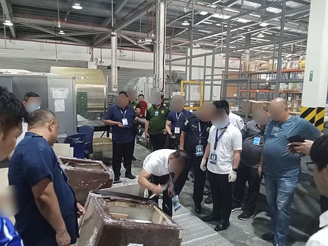 P16M worth of Kush seized in Clark