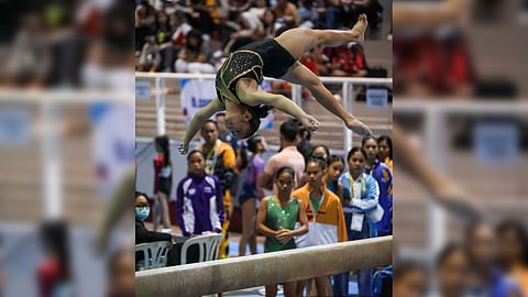 Elaiza Yulo at Palarong pambansa