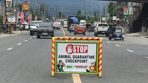 PNP intensifies checkpoints vs ASF threat