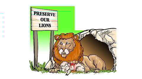 Defend victims, not predators