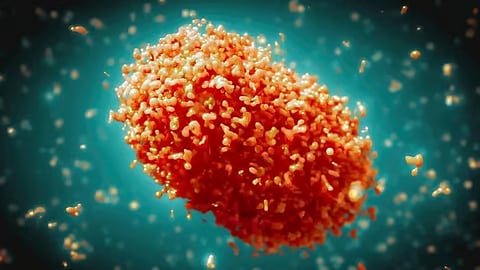 DoH reports 2 more mpox cases