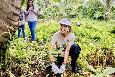 ‘From crop to cup’ seeks coffee perk