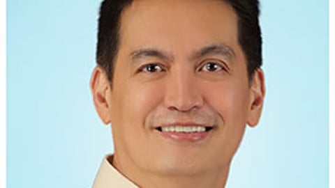 Official Portrait of Representative Franz Pumaren of the 3rd District of Quezon City in the 19th Congress of the Philippines